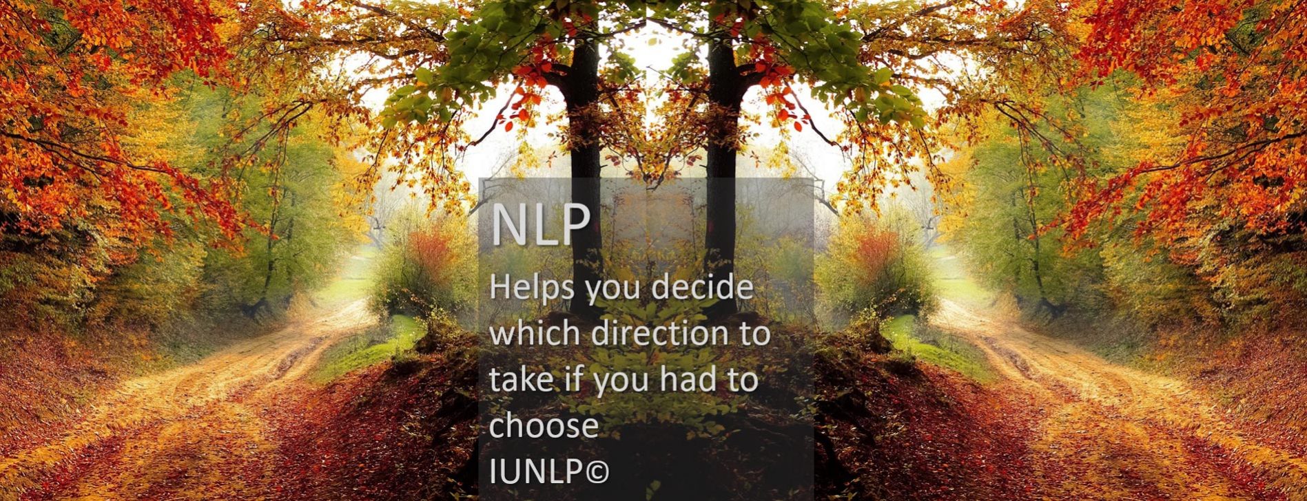 NLP training, NLP practitioner certification from the UK, The new generation of NLP